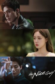 The Nice Guy: Season 1