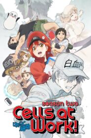 Cells at Work!: Season 2
