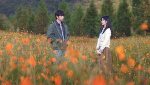 Still Shining: 1×8
